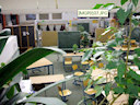 Beispielschule bspsch5